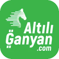 Altılı Ganyan - Horse Racing