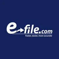 E-file Your IRS Taxes